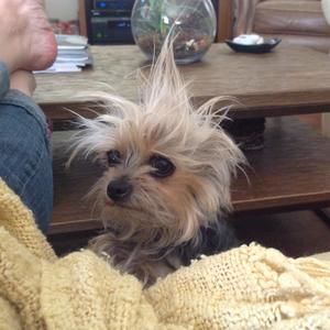 Meet your Posher, Nancy